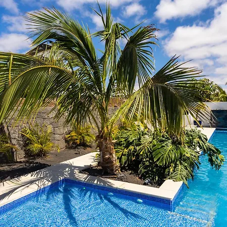 Golf Palms * コスタ・テギセ